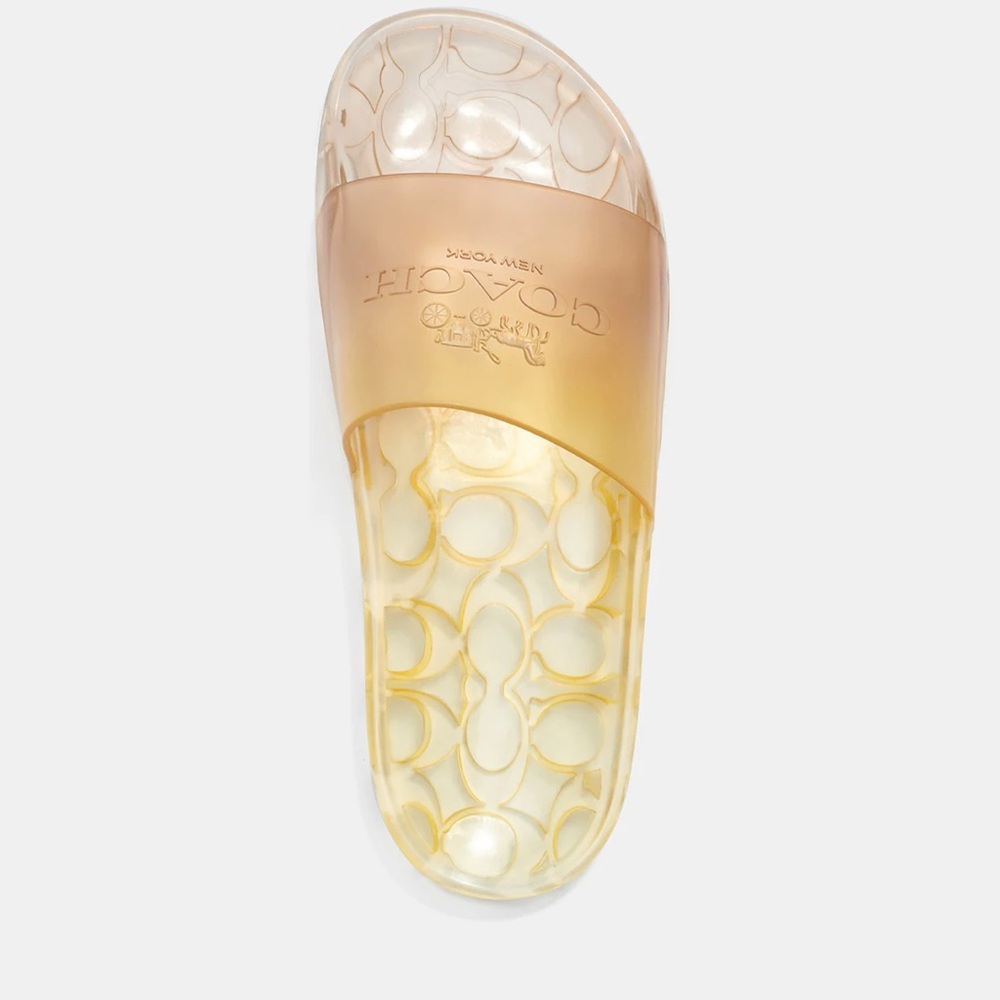 Coach Transparent Gold Slide Sandals